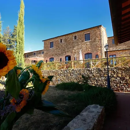 Luxus Drei Mit Privatem Garten Appartement
